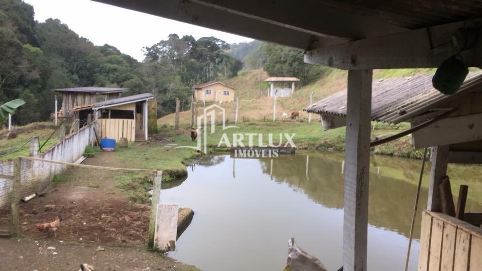 Chácara à venda com 5 quartos, 1200m² - Foto 12