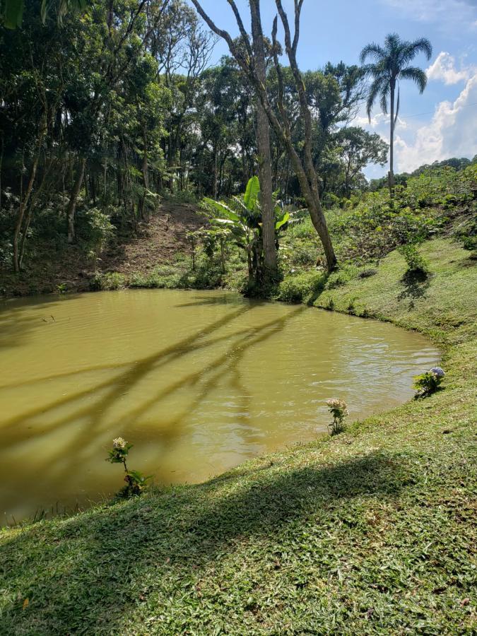 Chácara à venda com 3 quartos, 45000m² - Foto 11