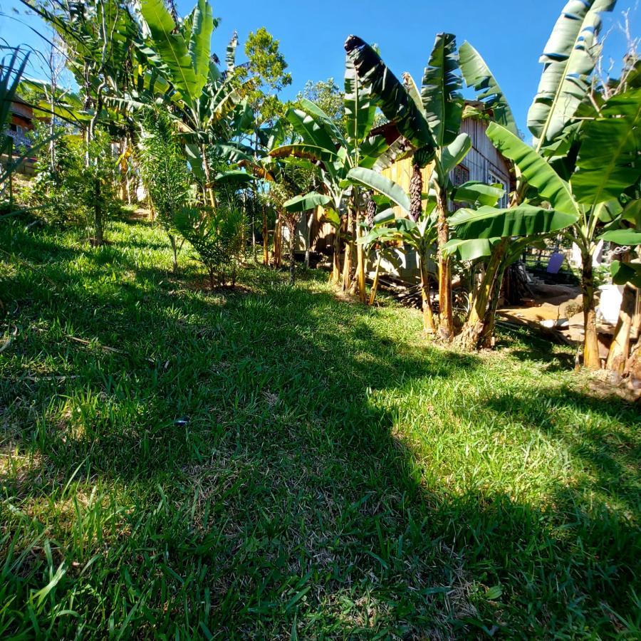 Chácara à venda com 1 quarto, 900m² - Foto 9