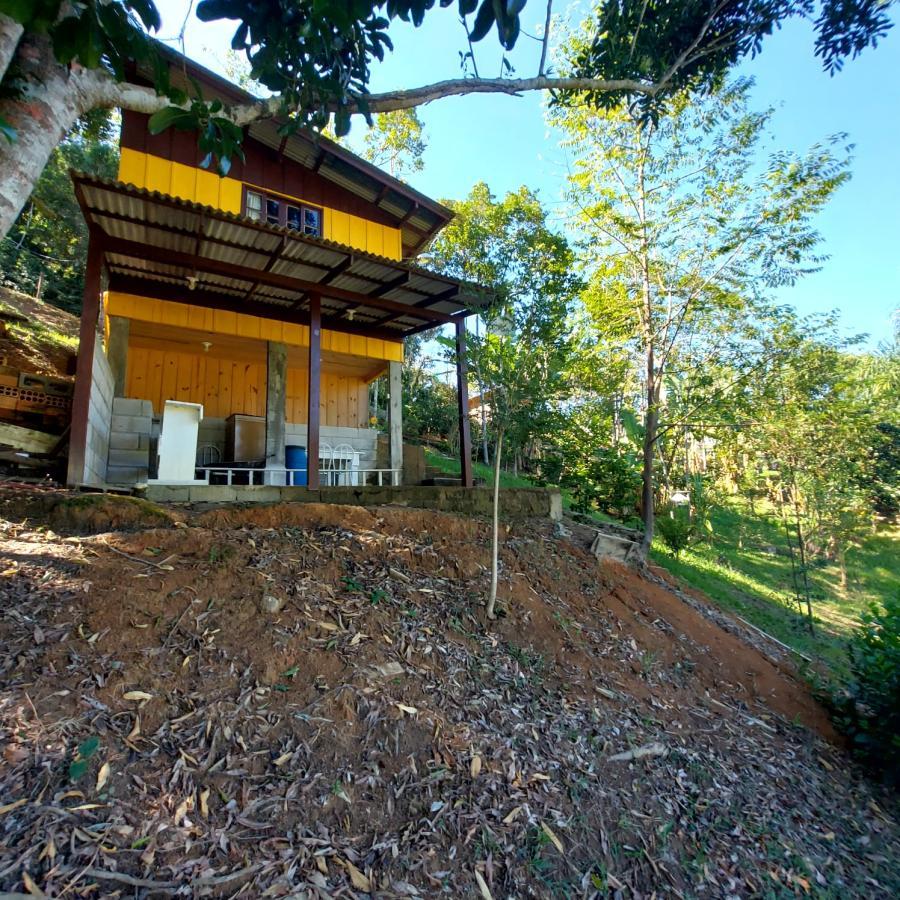 Chácara à venda com 1 quarto, 900m² - Foto 3