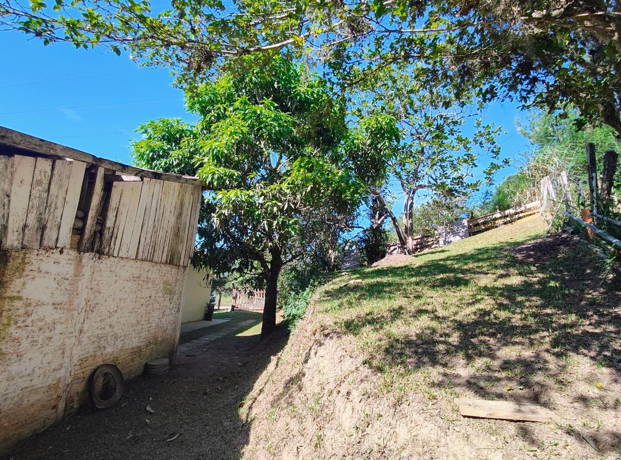 Chácara à venda com 3 quartos, 62408m² - Foto 8