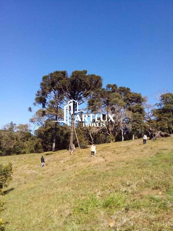 Chácara à venda com 3 quartos, 105000m² - Foto 9