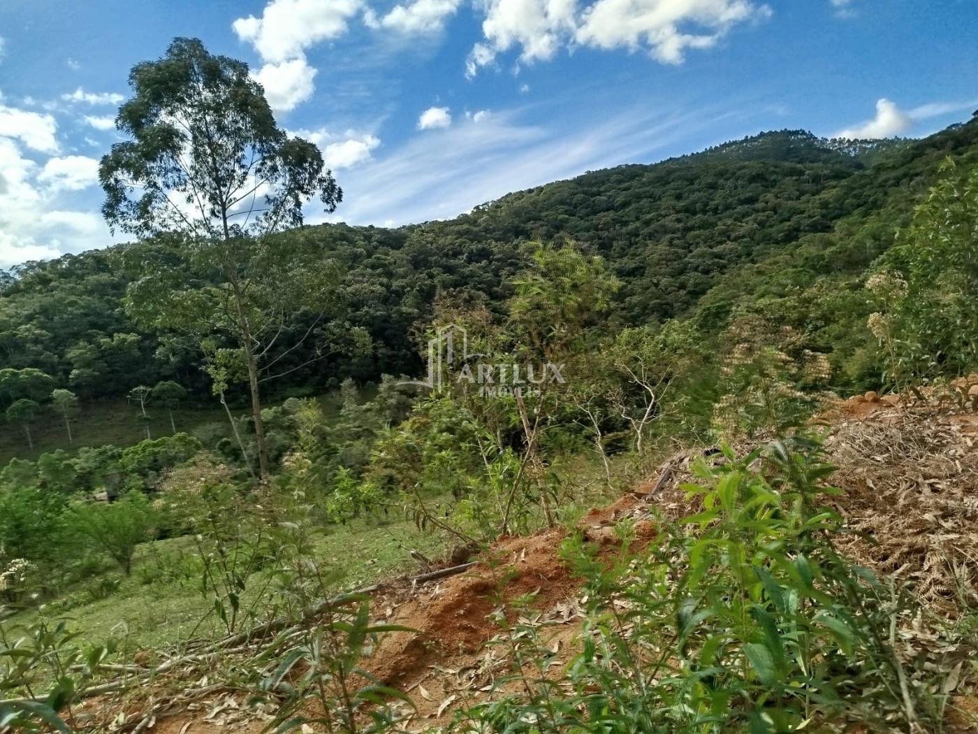 Terreno à venda, 1500m² - Foto 5