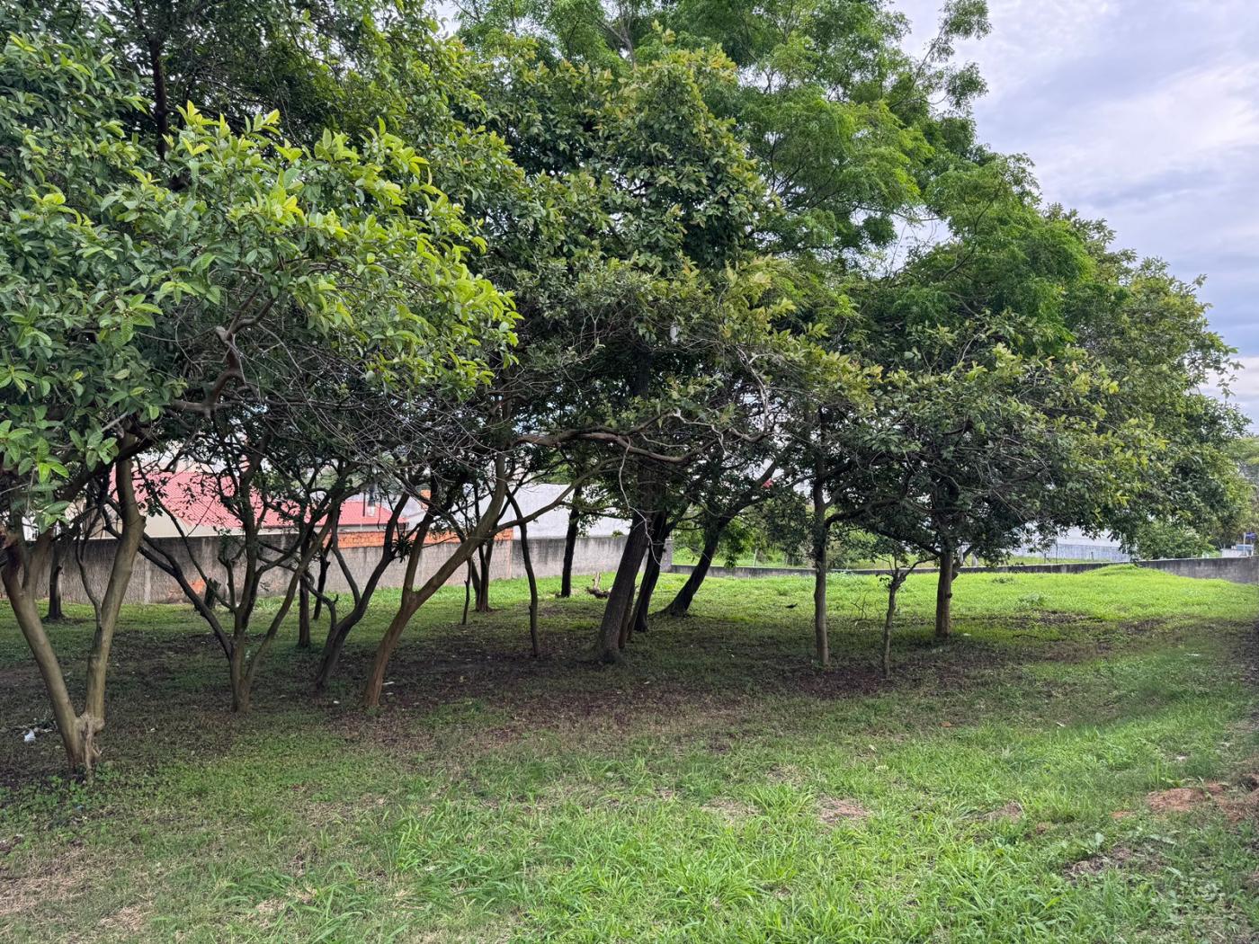 Terreno à venda, 1890m² - Foto 8